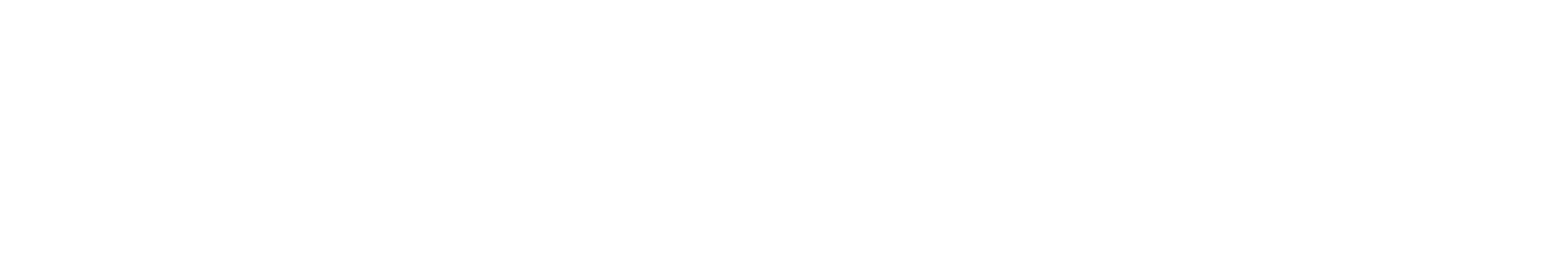 SimplePay customer information