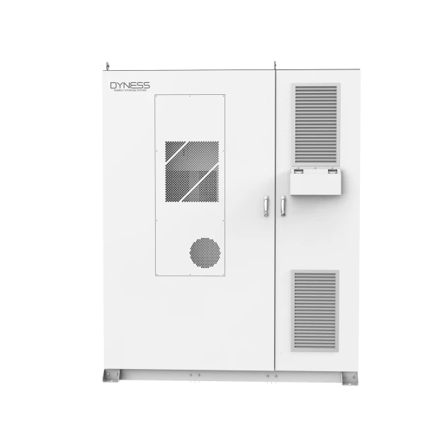 Dyness DH200F Cabinet with STS