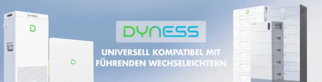 Dyness Energiespeicherung