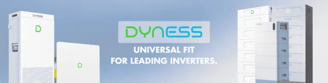 Dyness energy storage
