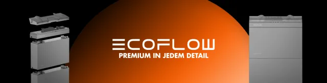 EcoFlow inverters