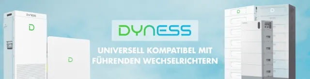 Dyness Energiespeicherung