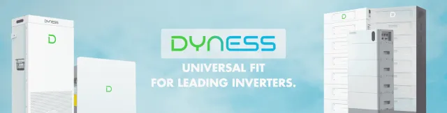 Dyness energy storage